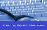 Impact Of Software Development On The Healthcare Industry