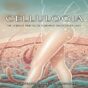 Cellulogia The Science and Secrets Behind Smoother Skin