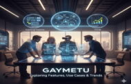 gaymetu e Exploring Features, Use Cases & Trends