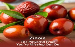žižole The Powerful Fruit You’re Missing Out On